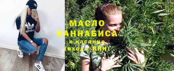 тгк Дмитриев
