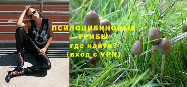 молекула духа Дмитров