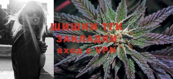 spice Гусиноозёрск