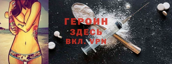 тгк Дмитриев