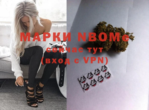 тгк Дмитриев