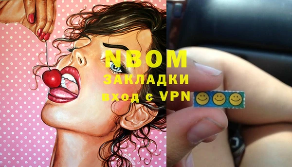 тгк Дмитриев