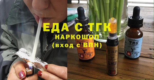 тгк Дмитриев