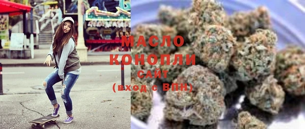 тгк Дмитриев