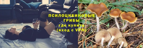 spice Гусиноозёрск