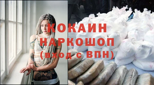 тгк Дмитриев