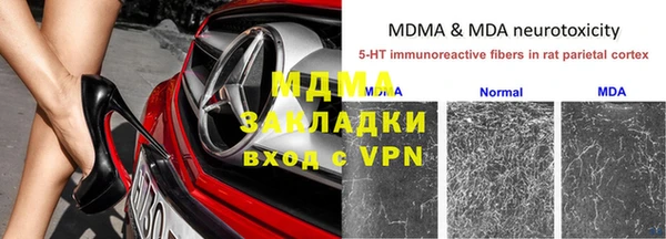 тгк Дмитриев