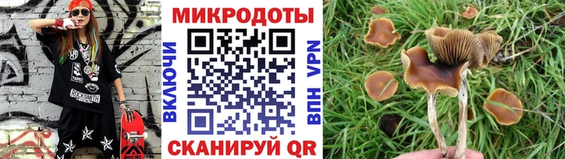 Галлюциногенные грибы Magic Shrooms Мончегорск
